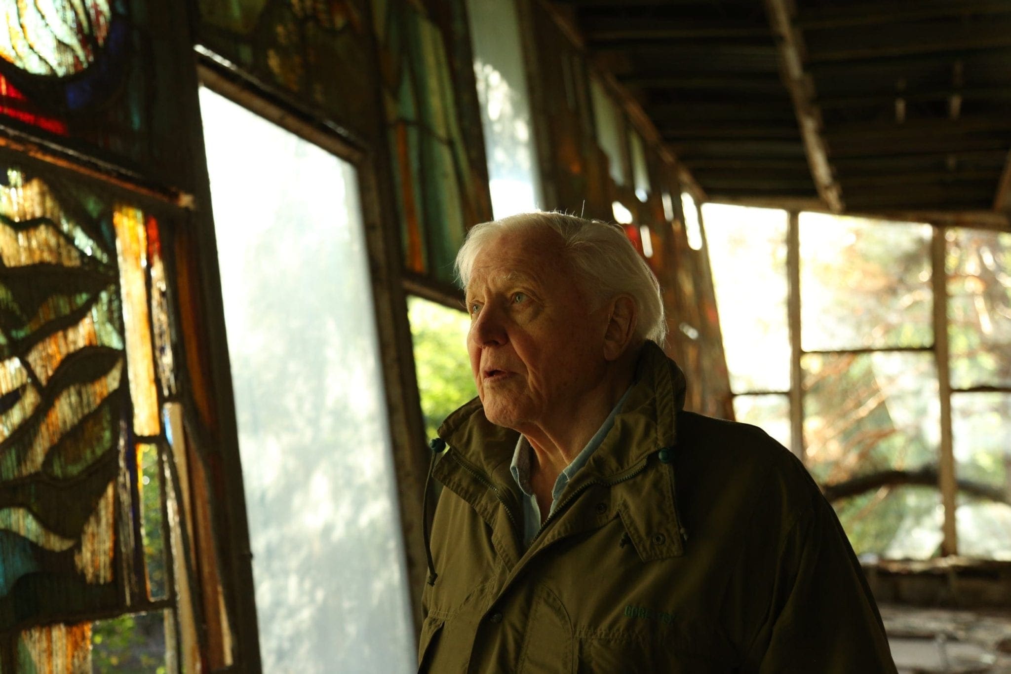 David Attenborough A Life On Our Planet Netflix’s David Attenborough: A Life on Our Planet Review: A Heart