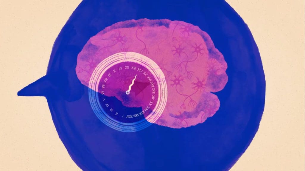 EXPLAINED TELEVISION SHOW SEASON 3 visual data 5