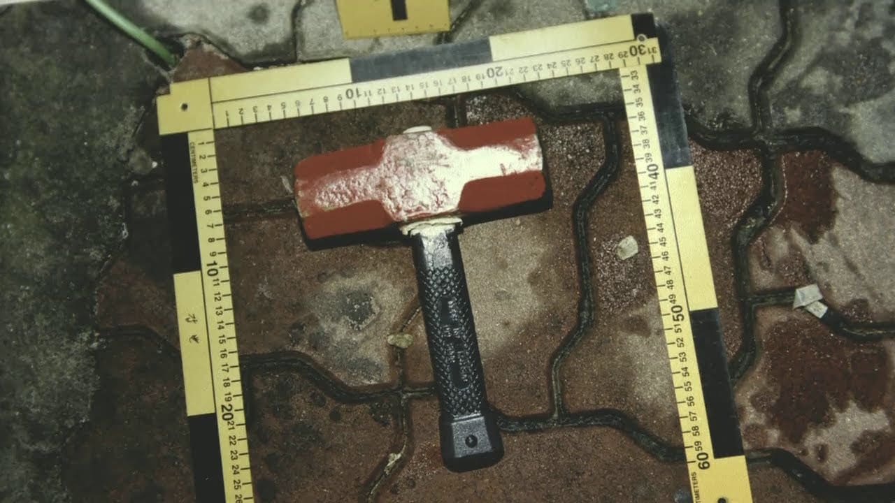 Netflix's The Raincoat Killer Chasing a Predator in Korea Review