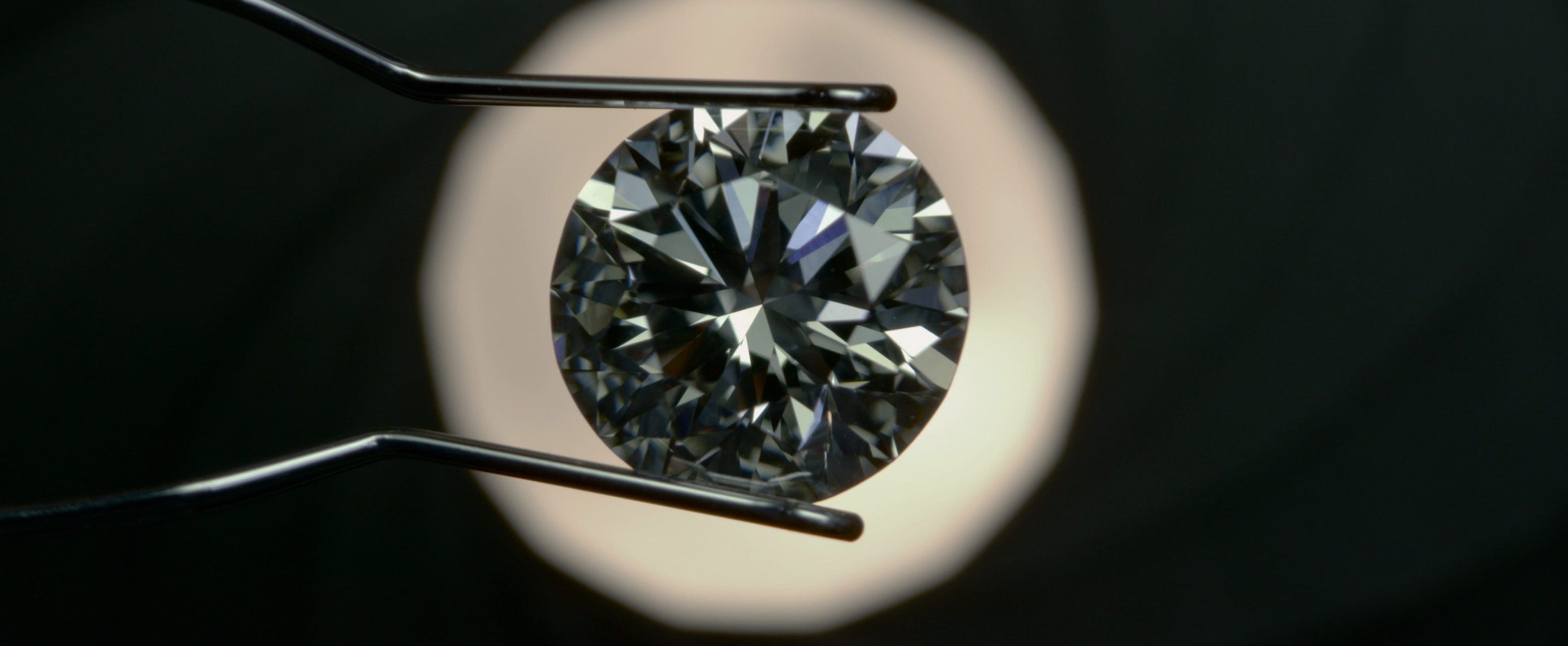 The Tinder Swindler Review: Still