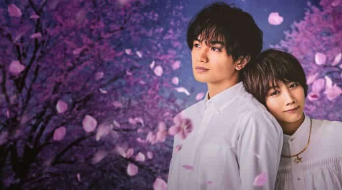 Love Like the Falling Petals Review: Kento Nakajima, Honoka Matsumoto
