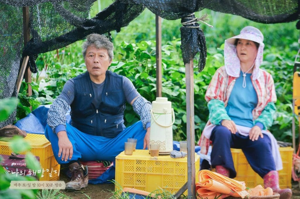My Liberation Notes Episode 4: The Desolate Yeom Family | Leisurebyte