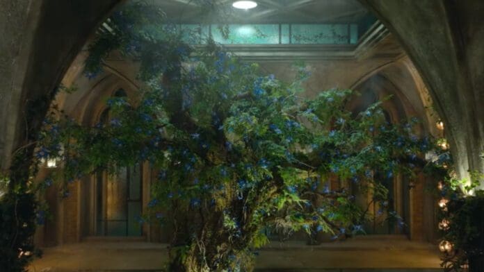 Little Women : Blue Orchid