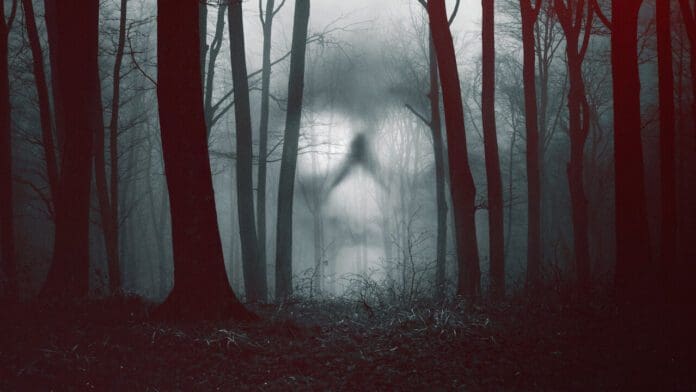 28 days haunted
