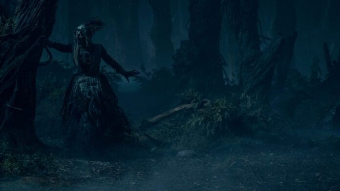Guillermo Del Toro’s Cabinet of Curiosities