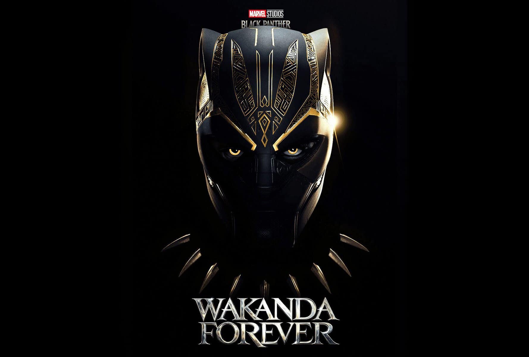 Marvel Studios Hotstar Black Panther Black Panther Wakanda Forever