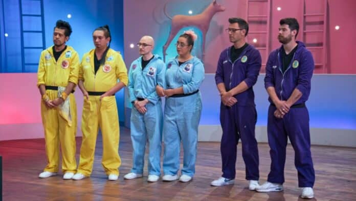 pinata-masters-winners Pinata Masters