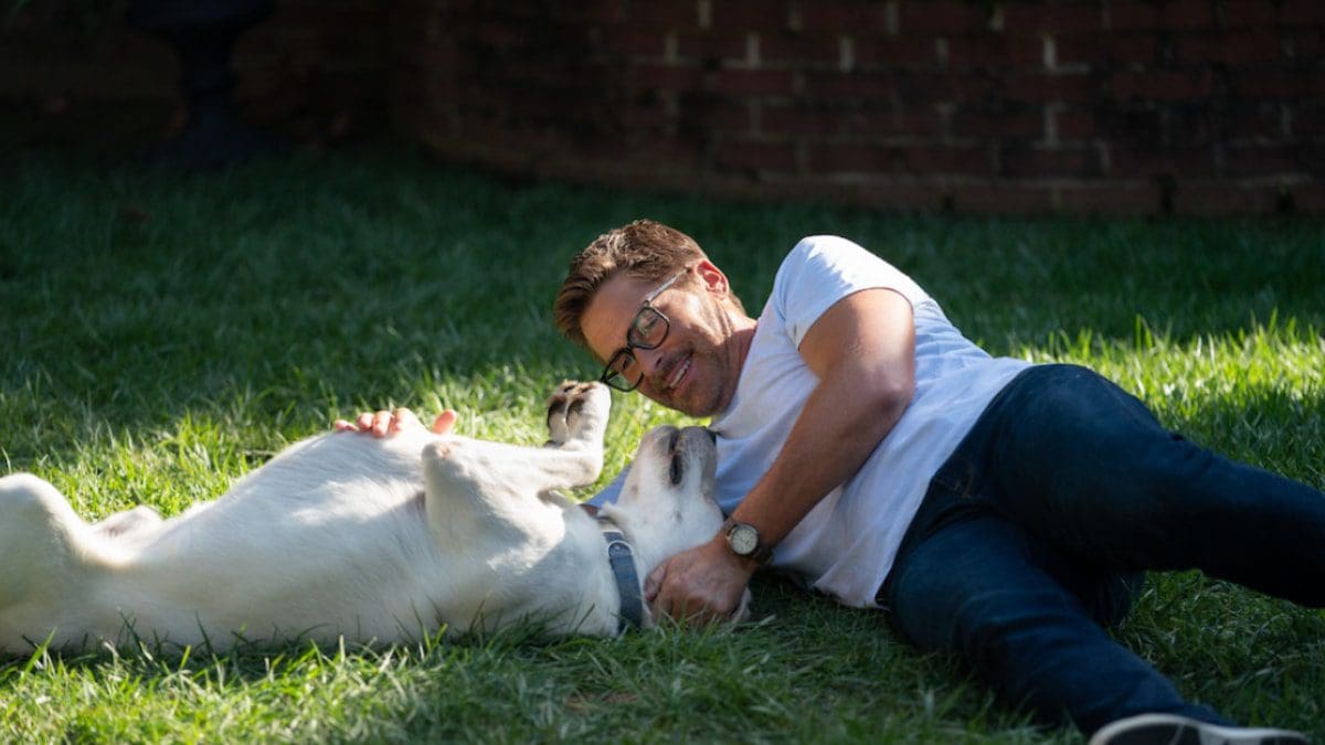 When is Dog Gone Releasing? Everything to Know About Netflix's Real