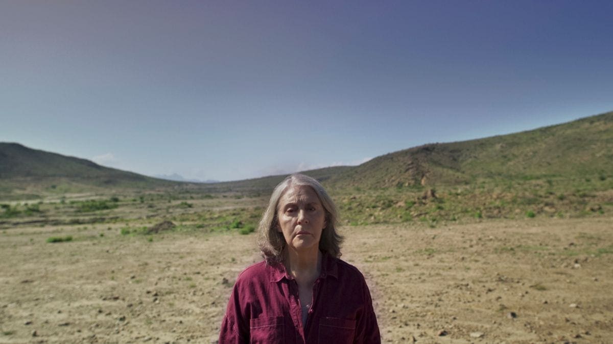 Noise Ending Explained Does Julia Actually Finds Gertrudis? Leisurebyte