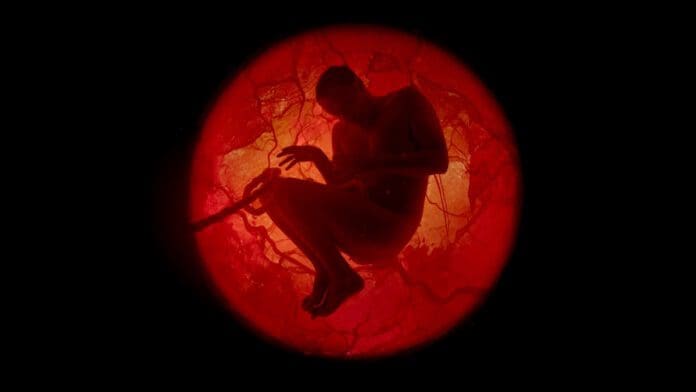 A Whole Lifetime With Jamie Demetriou A Whole Lifetime With Jamie Demetriou