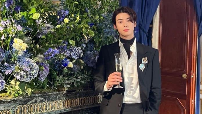 Cha Eunwoo At Chaumet Gala