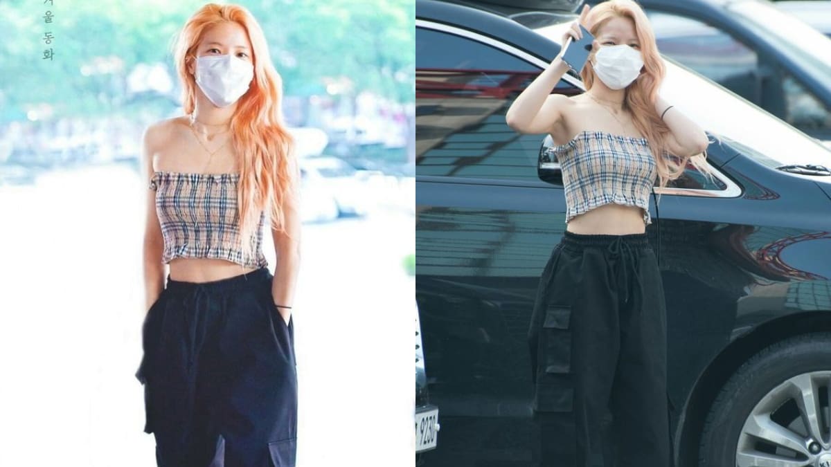 Solar Still 1