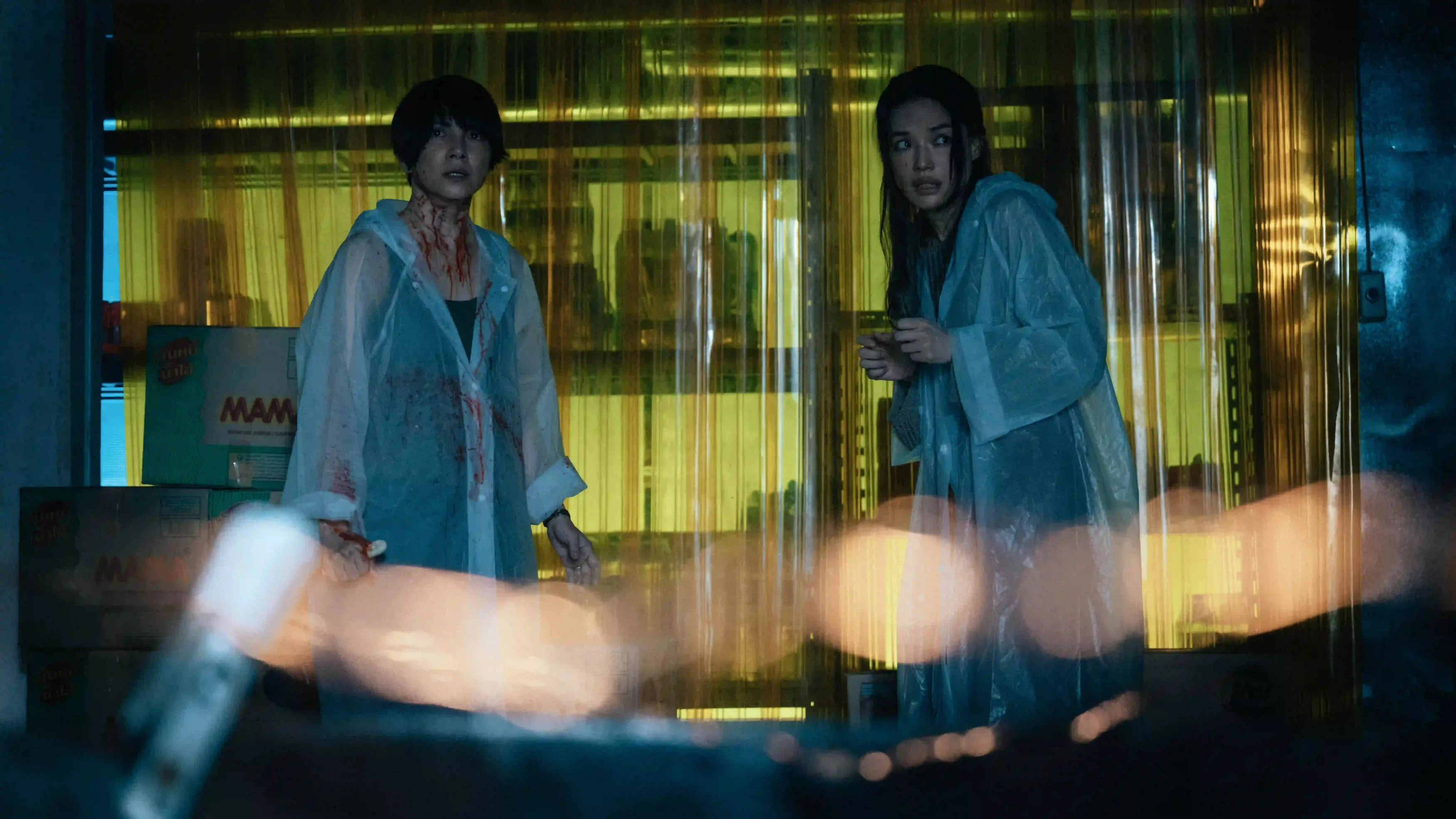 The Resurrected Ending Explained: Lee Sinje, Shu Qi