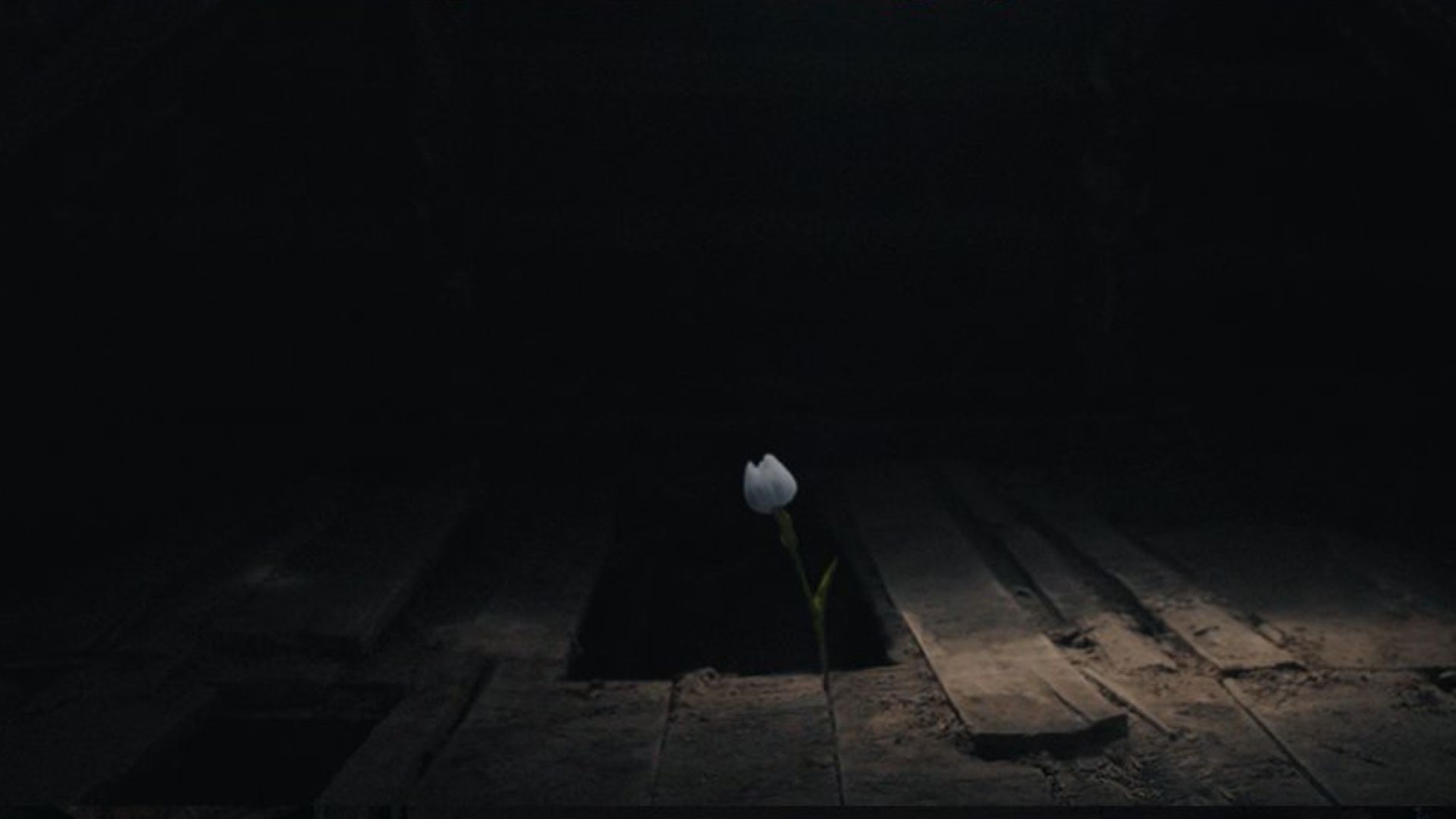 Baramulla Ending Explained: Still