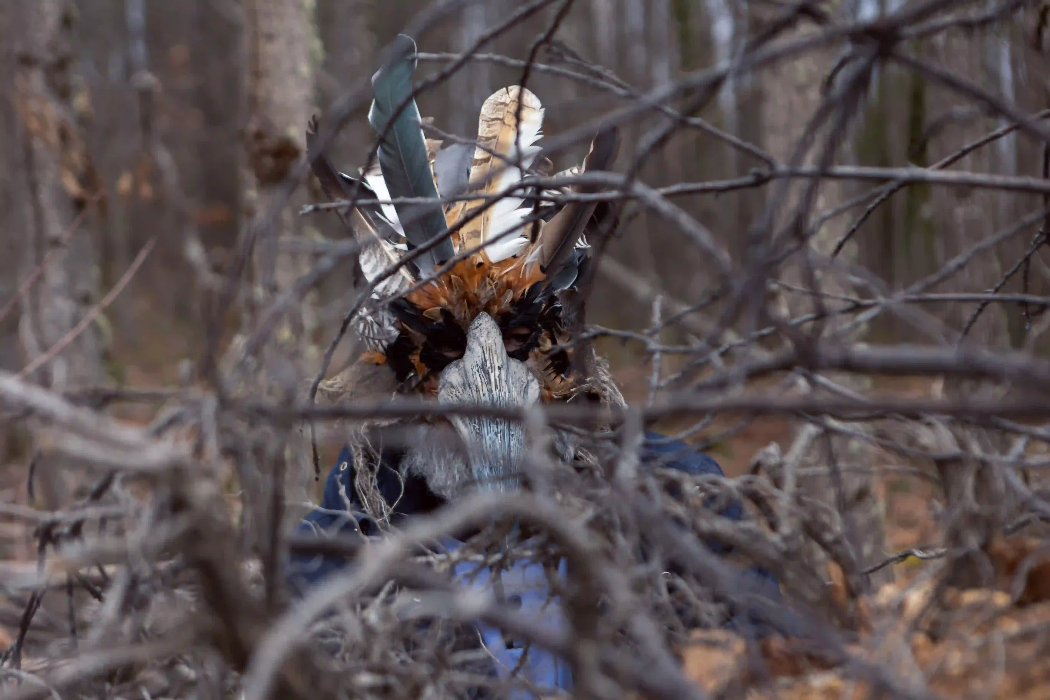 The Crystal Cuckoo Review: Still